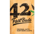 Original Auto Northern Lights FastBuds