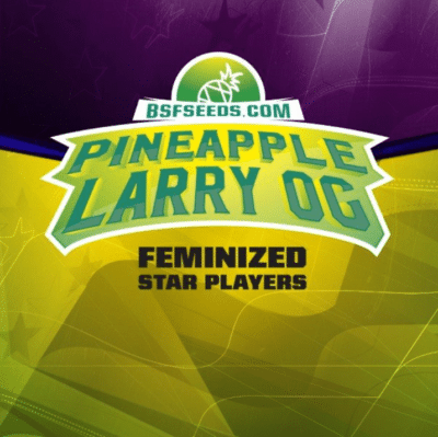 pineapple larry og bsf seeds