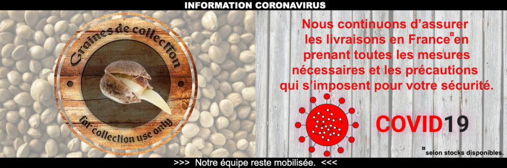 acheter des graines en ligne
