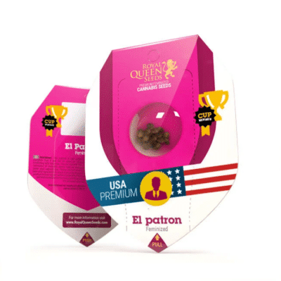 El patron féminisée RQS Royal queen Seeds