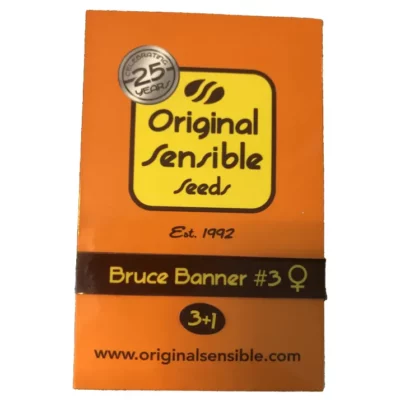 Bruce banner #3 Original Sensible