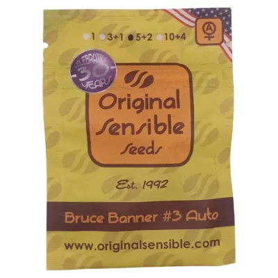 bruce banner 3 auto Original Sensible Seeds