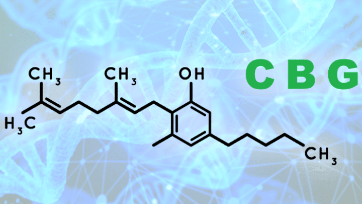 CBG : Qu’est ce que le cannabigérol?