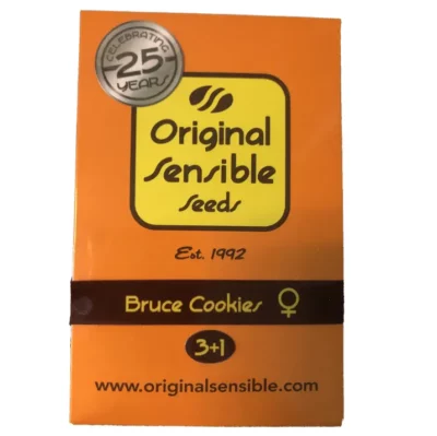 Bruce Cookies graines cannabis Original Sensible