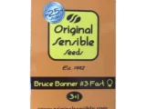 Bruce Banner #3 Fast Original Sensible