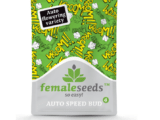 Auto Speed Bud Female Seeds