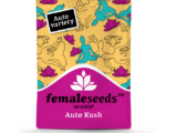 Auto Kush Female Seeds