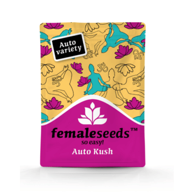 auto kush female seeds