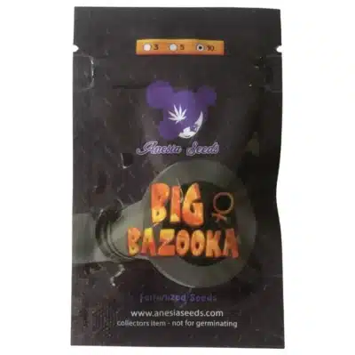 Big Bazooka Anesia Seeds