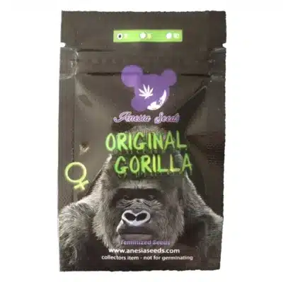 original gorilla Anesia Seeds