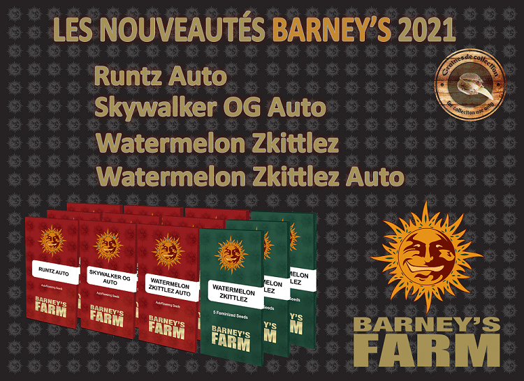 nouvelles graines barney's farm