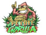 Peyote Gorilla Féminisée Seedsman