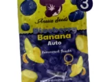 Blueberry Banana Auto Anesia Seeds