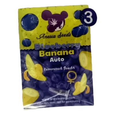 blueberry banana auto Anesia Seeds