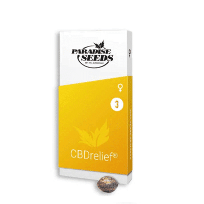 CBDrelief graines cannabis Paradise Seeds