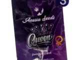 Haze Queen Féminisée Anesia Seeds