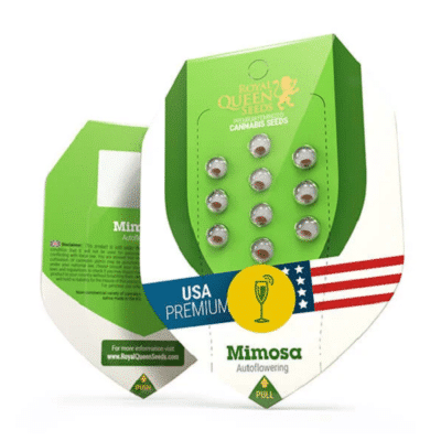 Graines mimosa auto royal queen seeds