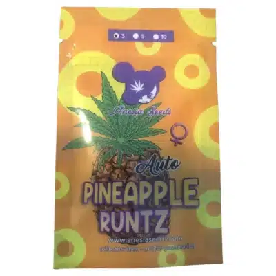 pineapple runtz auto Anesia Seeds