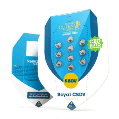 royal CBDV auto royal queen seeds