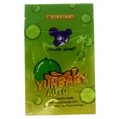 Yuhbary auto anesia Seeds