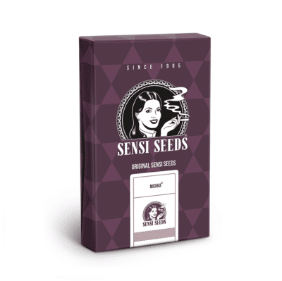 Sensi Seeds Michka féminisée