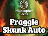 Fraggle Skunk Auto Philosopher Seeds