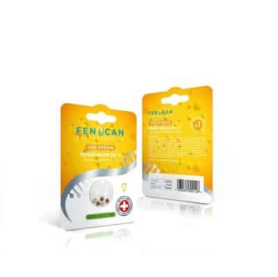 fenocheese Graines CBD Fenocan