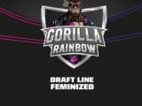 Gorilla Rainbow féminisée BSF SEEDS