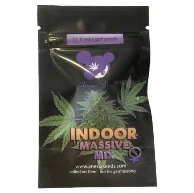 indoor massive mix Anesia Seeds