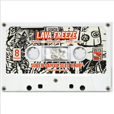 Lava Freeze féminisée Super Sativa Seed Club