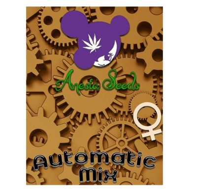 mix graines cannabis autoflo Anesia Seeds