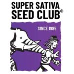 graines super sativa seed club france