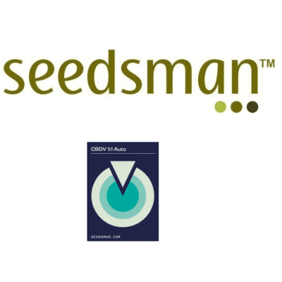 graines cbdv seedsman
