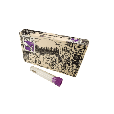 Black Lebanon Super sativa seed club