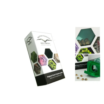 Graines de cannabis puissantes Auto Kerosene Krash Dutch Passion