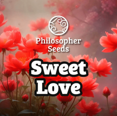 Sweet love philosopher seeds