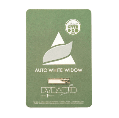 auto White Widow Pyramid seeds