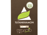 Tutankhamon Féminisée Pyramid Seeds