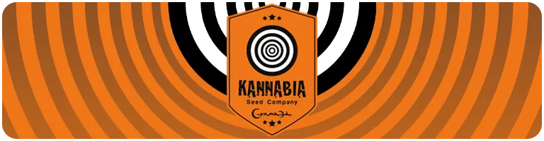 Graines cannabis Kannabia