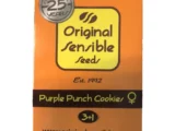 Purple Punch Cookies Féminisée Original Sensible