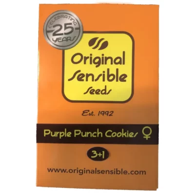 purple punch cookies graines original Sensible