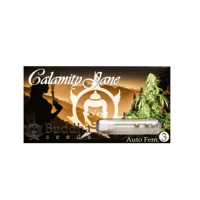 Buddha Seeds Calamity Jane Auto