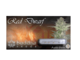 Red Dwarf Auto Buddha Seeds