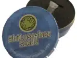 Pure CBD Punch Féminisée Philosopher Seeds