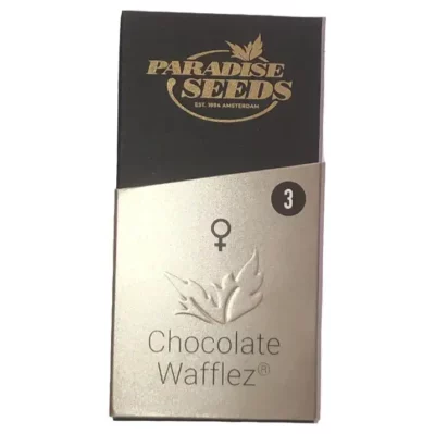 chocolate wafflez paradise seeds