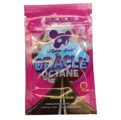 Oracle Octane Anesia Seeds