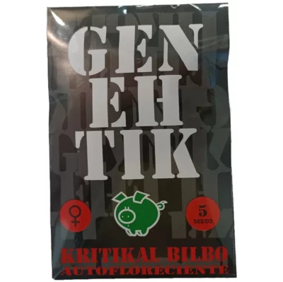 kritikal bilbo auto genehtik seeds