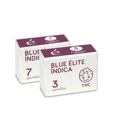 Blue Elite Indica feminisee Elite Seeds