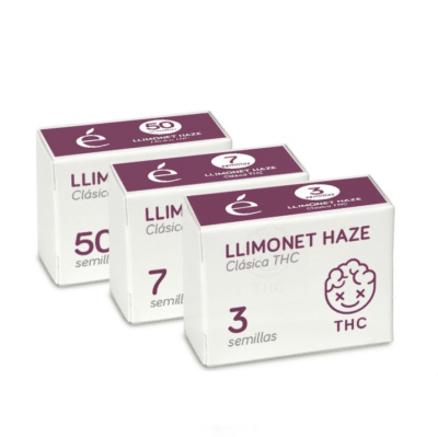 Llimonet Haze Elite Seeds