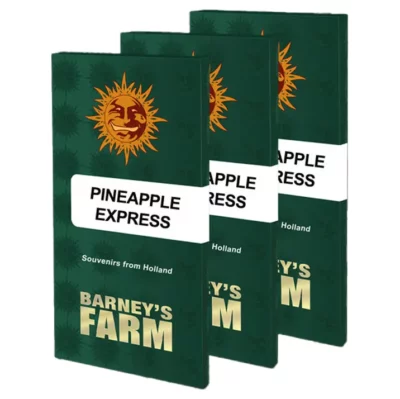 Pineapple express feminisee Barney's Farm